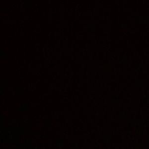 Meet your Posher, Abigail